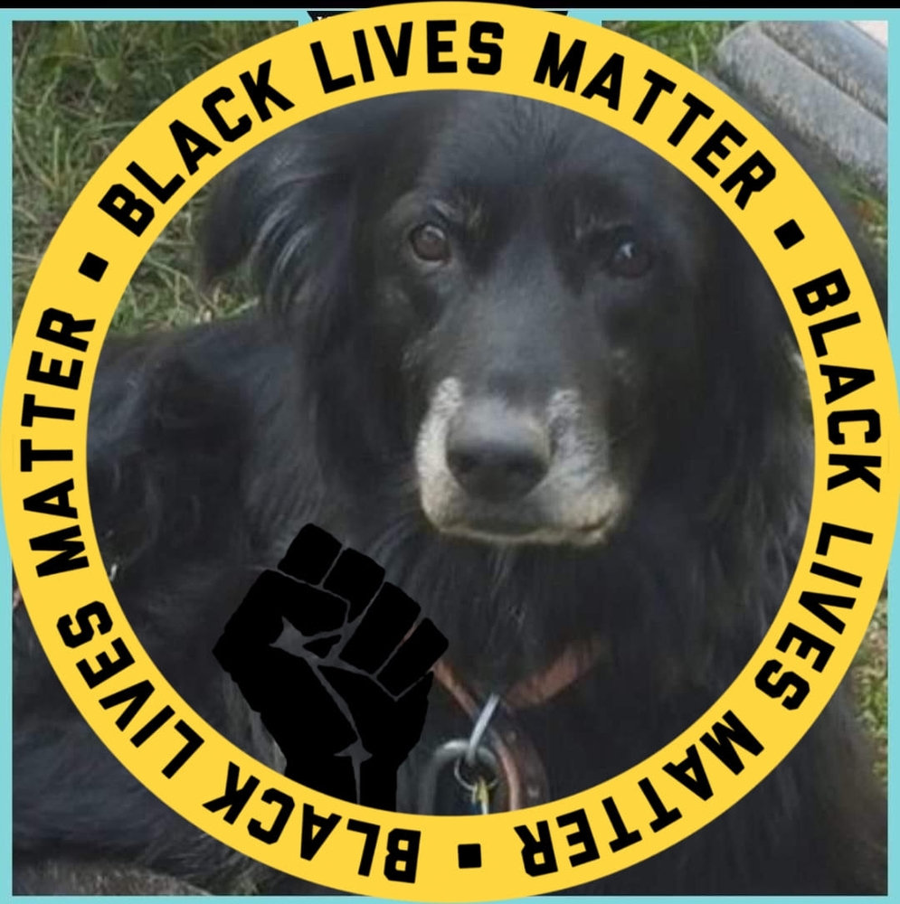 Meet your Posher, Nikita